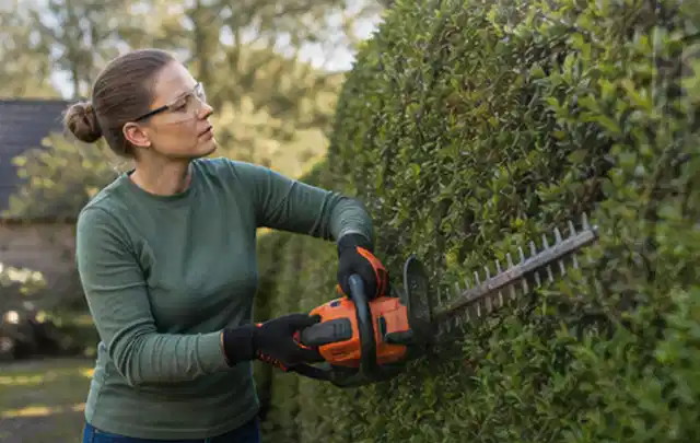 Person schneidet eine dichte Gartenhecke mit Schutzbrille und sicherem Stand; Thema Gartenscheren, Schwerpunkt Systemvergleich; Ausgangslage.