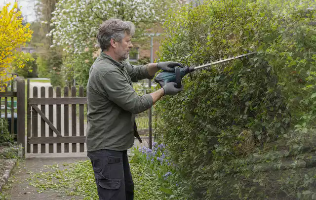 Person schneidet eine Gartenhecke mit einem motorisierten Gartengerät; Thema Gartenscheren, Schwerpunkt Testkriterien; Ausgangslage.