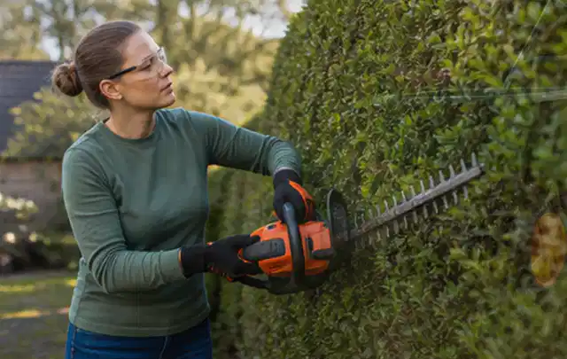 Person schneidet eine dichte Gartenhecke mit Schutzbrille und sicherem Stand; Thema Gartenscheren, Schwerpunkt Testkriterien; Kontrolle.