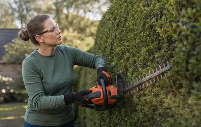 Person schneidet eine dichte Gartenhecke mit Schutzbrille und sicherem Stand; Thema Gartenscheren, Schwerpunkt Vergleich; Ausgangslage.