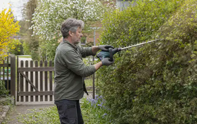 Person schneidet eine Gartenhecke mit einem motorisierten Gartengerät; Thema Gartenscheren, Schwerpunkt Wartung; Ergebnis.