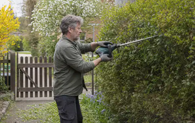 Person schneidet eine Gartenhecke mit einem motorisierten Gartengerät; Thema Gartenscheren, Schwerpunkt Winterlager; Kontrolle.