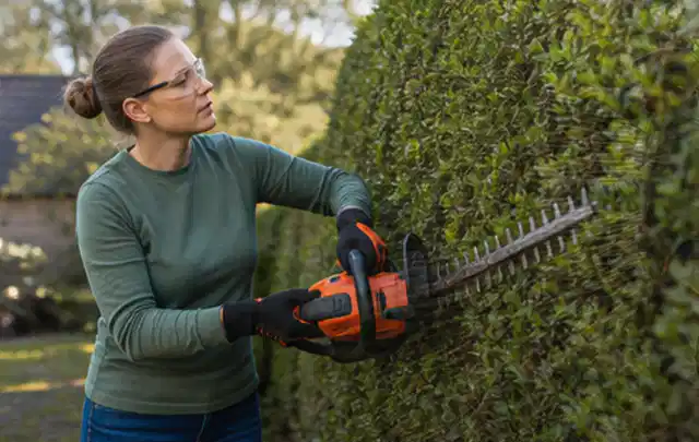 Person schneidet eine dichte Gartenhecke mit Schutzbrille und sicherem Stand; Thema Gartenscheren, Schwerpunkt Winterlager; Praxisalltag.