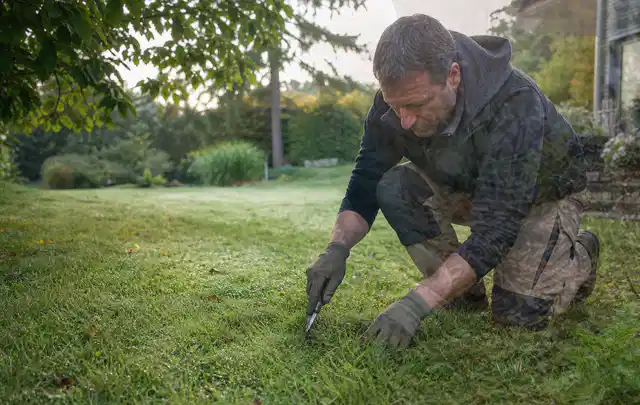 Person prüft den Boden einer gepflegten Rasenfläche im Garten; Thema Gebrauchsrasen, Schwerpunkt Bewässerung; Ergebnis.