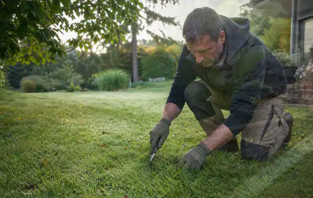 Person prüft den Boden einer gepflegten Rasenfläche im Garten; Thema Gebrauchsrasen, Schwerpunkt Bodenpflege; Umsetzung.