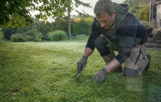 Person prüft den Boden einer gepflegten Rasenfläche im Garten; Thema Gebrauchsrasen, Schwerpunkt Checkliste; Umsetzung.
