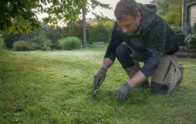 Person prüft den Boden einer gepflegten Rasenfläche im Garten; Thema Gebrauchsrasen, Schwerpunkt Düngung; Praxisalltag.