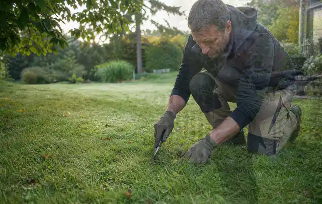 Person prüft den Boden einer gepflegten Rasenfläche im Garten; Thema Gebrauchsrasen, Schwerpunkt Frühjahr; Kontrolle.