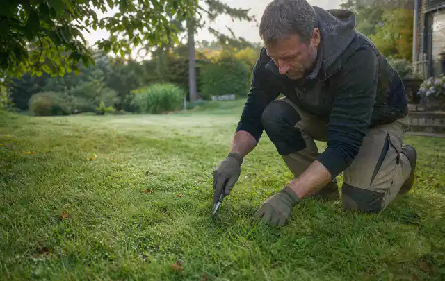 Person prüft den Boden einer gepflegten Rasenfläche im Garten; Thema Gebrauchsrasen, Schwerpunkt Hitzeschutz; Ausgangslage.