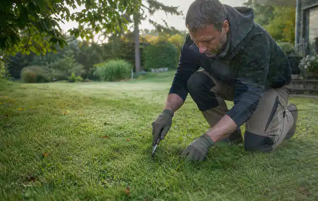Person prüft den Boden einer gepflegten Rasenfläche im Garten; Thema Gebrauchsrasen, Schwerpunkt Kosten; Praxisalltag.