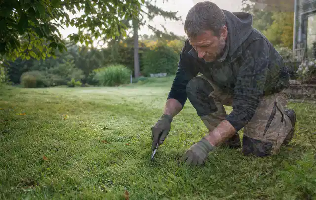 Person prüft den Boden einer gepflegten Rasenfläche im Garten; Thema Gebrauchsrasen, Schwerpunkt Nachsaat; Praxisalltag.