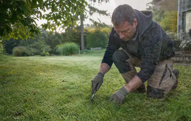 Person prüft den Boden einer gepflegten Rasenfläche im Garten; Thema Gebrauchsrasen, Schwerpunkt Rasengesundheit; Praxisalltag.
