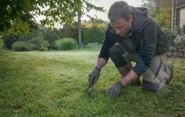 Person prüft den Boden einer gepflegten Rasenfläche im Garten; Thema Gebrauchsrasen, Schwerpunkt Rasenpflege; Kontrolle.