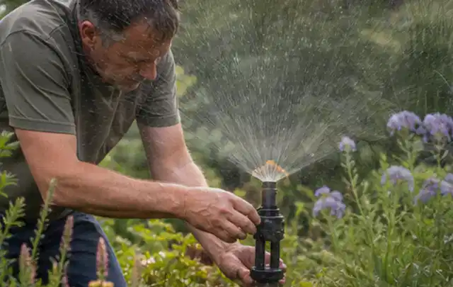 Person richtet einen laufenden Gartensprenger zwischen Stauden präzise aus; Thema Gebrauchsrasen, Schwerpunkt Rasenpflege; Ergebnis.