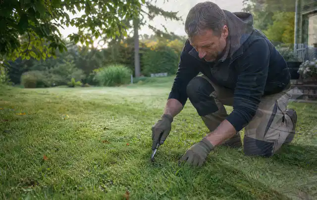 Person prüft den Boden einer gepflegten Rasenfläche im Garten; Thema Gebrauchsrasen, Schwerpunkt Rasenschnitt; Ausgangslage.