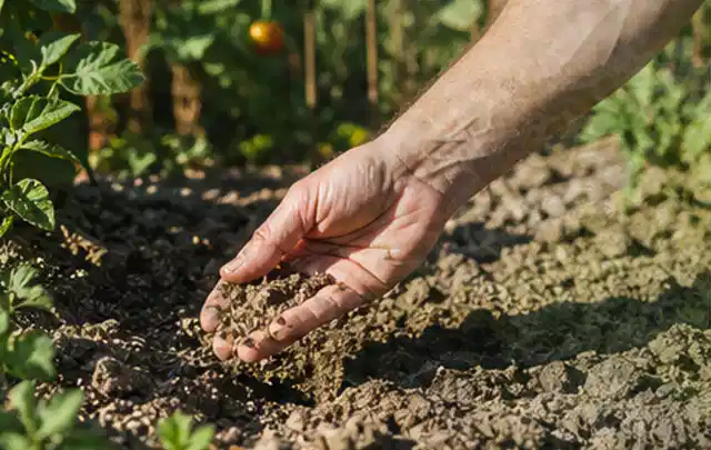 Hand prüft trockene krümelige Gartenerde während einer warmen Sommerphase; Thema Gebrauchsrasen, Schwerpunkt Sommerpflege; Ausgangslage.