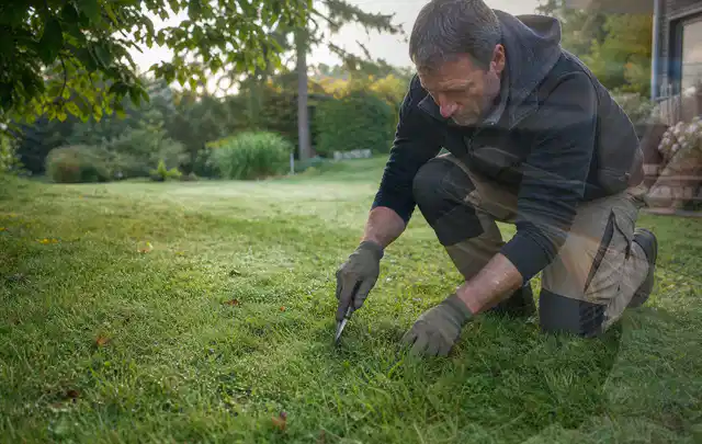Person prüft den Boden einer gepflegten Rasenfläche im Garten; Thema Gebrauchsrasen, Schwerpunkt Sommerpflege; Umsetzung.