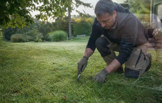 Person prüft den Boden einer gepflegten Rasenfläche im Garten; Thema Gebrauchsrasen, Schwerpunkt Unkraut; Ausgangslage.
