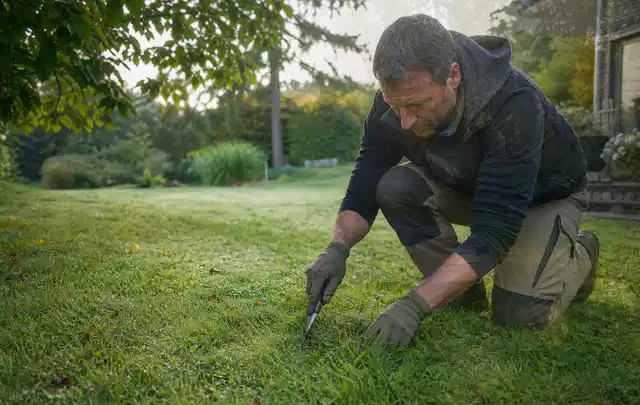 Person prüft den Boden einer gepflegten Rasenfläche im Garten; Thema Gebrauchsrasen, Schwerpunkt Winterpflege; Umsetzung.