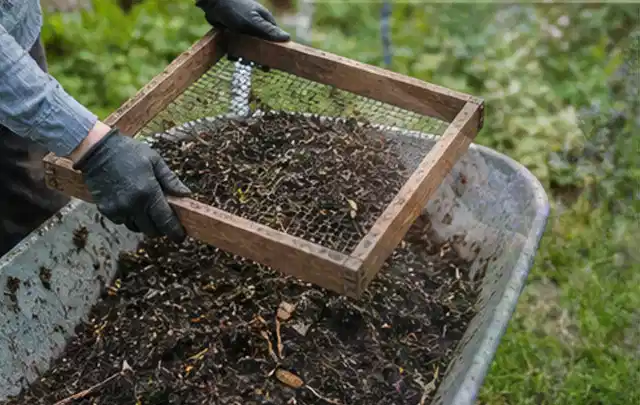 Behandschuhte Hände sieben reifen Kompost über einer Gartenschubkarre; Thema Gemüse im Hochbeet, Schwerpunkt Fehlerhilfe; Ausgangslage.
