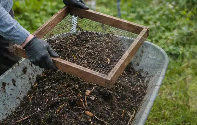 Behandschuhte Hände sieben reifen Kompost über einer Gartenschubkarre; Thema Gemüse im Hochbeet, Schwerpunkt Gesundheit; Ausgangslage.