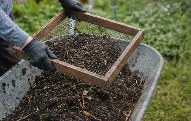 Behandschuhte Hände sieben reifen Kompost über einer Gartenschubkarre; Thema Gemüse im Hochbeet, Schwerpunkt Nährstoffe; Ausgangslage.