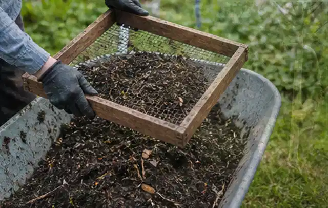 Behandschuhte Hände sieben reifen Kompost über einer Gartenschubkarre; Thema Gemüse im Hochbeet, Schwerpunkt Pflanzenschutz; Ausgangslage.