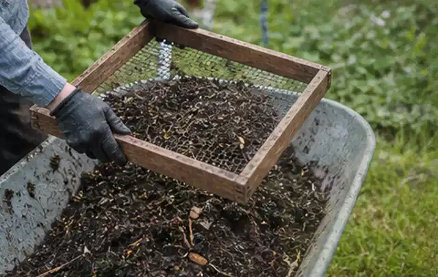 Behandschuhte Hände sieben reifen Kompost über einer Gartenschubkarre; Thema Gemüse Obst Kräuter Hochbeete Gewächshaus, Schwerpunkt Gartenwissen; Ergebnis.