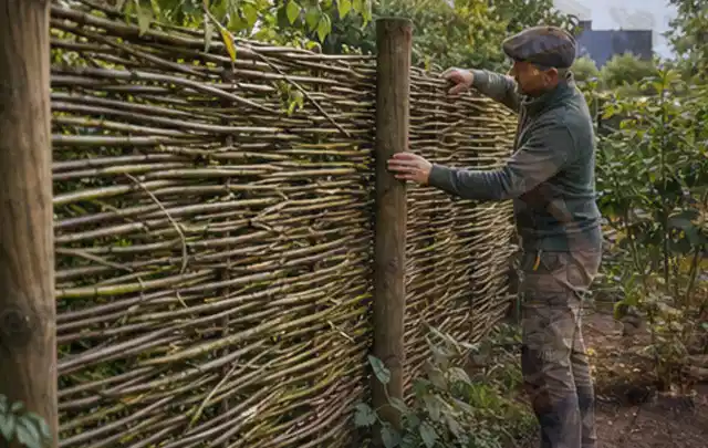 Person befestigt geflochtene Weidenruten an stabilen Holzpfosten im Garten; Thema Geräteschuppen, Schwerpunkt Fundament; Umsetzung.