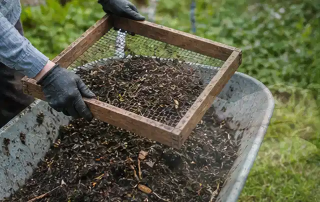 Behandschuhte Hände sieben reifen Kompost über einer Gartenschubkarre; Thema Gewächshaus Belüftung, Schwerpunkt Fehlerhilfe; Umsetzung.