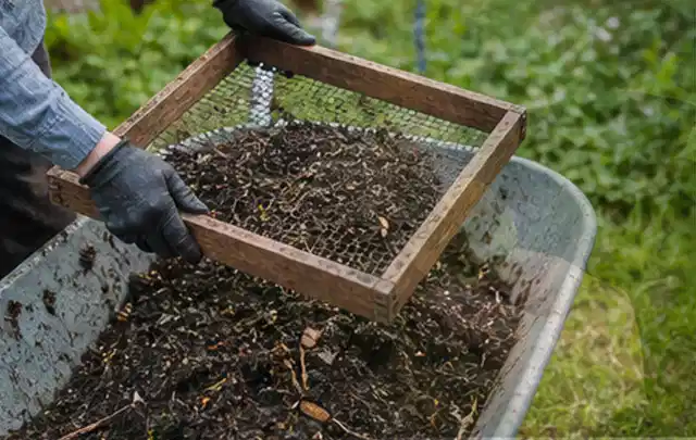 Behandschuhte Hände sieben reifen Kompost über einer Gartenschubkarre; Thema Gewächshaus Belüftung, Schwerpunkt Planung; Kontrolle.