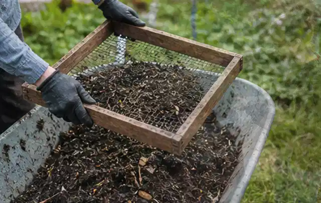 Behandschuhte Hände sieben reifen Kompost über einer Gartenschubkarre; Thema Gewächshaus Fundament, Schwerpunkt Baurecht; Ergebnis.