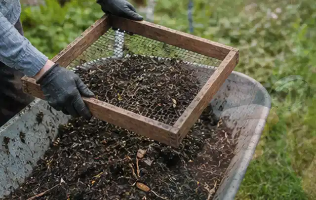 Behandschuhte Hände sieben reifen Kompost über einer Gartenschubkarre; Thema Gewächshaus Fundament, Schwerpunkt DIY; Ausgangslage.