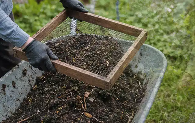 Behandschuhte Hände sieben reifen Kompost über einer Gartenschubkarre; Thema Gewächshaus Fundament, Schwerpunkt Fehlerhilfe; Ergebnis.
