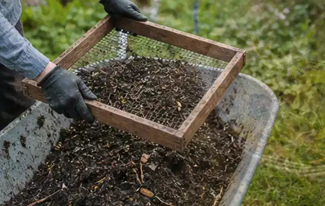 Behandschuhte Hände sieben reifen Kompost über einer Gartenschubkarre; Thema Gewächshaus Fundament, Schwerpunkt Gestaltung; Ergebnis.