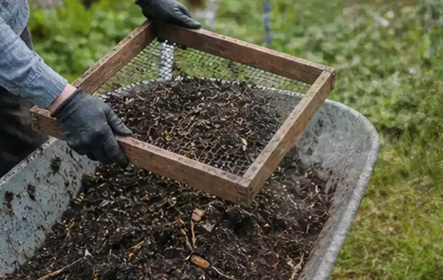 Behandschuhte Hände sieben reifen Kompost über einer Gartenschubkarre; Thema Gewächshaus Fundament, Schwerpunkt Pflege; Ergebnis.