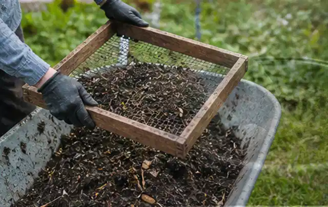 Behandschuhte Hände sieben reifen Kompost über einer Gartenschubkarre; Thema Gewächshaus Fundament, Schwerpunkt Planung; Ergebnis.