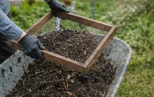 Behandschuhte Hände sieben reifen Kompost über einer Gartenschubkarre; Thema Gewächshaus Heizung, Schwerpunkt Aufbau; Ergebnis.