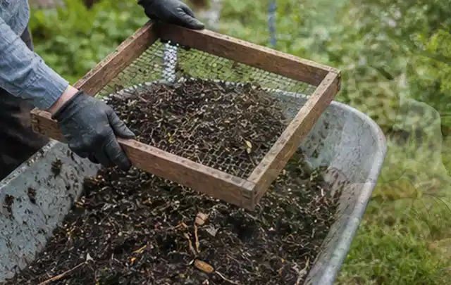 Behandschuhte Hände sieben reifen Kompost über einer Gartenschubkarre; Thema Gewächshaus Heizung, Schwerpunkt Gewächshaus; Kontrolle.