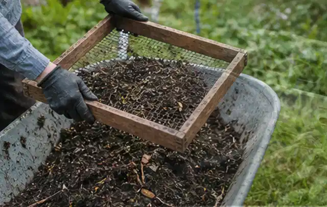Behandschuhte Hände sieben reifen Kompost über einer Gartenschubkarre; Thema Gewächshaus Heizung, Schwerpunkt Materialwahl; Umsetzung.
