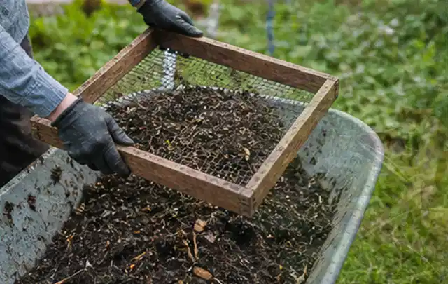 Behandschuhte Hände sieben reifen Kompost über einer Gartenschubkarre; Thema Gewächshaus im Winter, Schwerpunkt Materialwahl; Umsetzung.