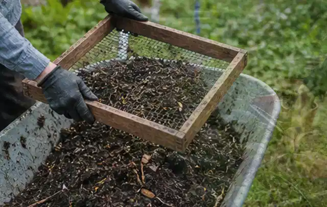 Behandschuhte Hände sieben reifen Kompost über einer Gartenschubkarre; Thema Gewächshaus, Schwerpunkt Themenwelt; Ergebnis.