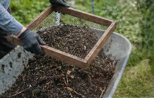 Behandschuhte Hände sieben reifen Kompost über einer Gartenschubkarre; Thema Glasgewächshaus, Schwerpunkt Aufbau; Ergebnis.