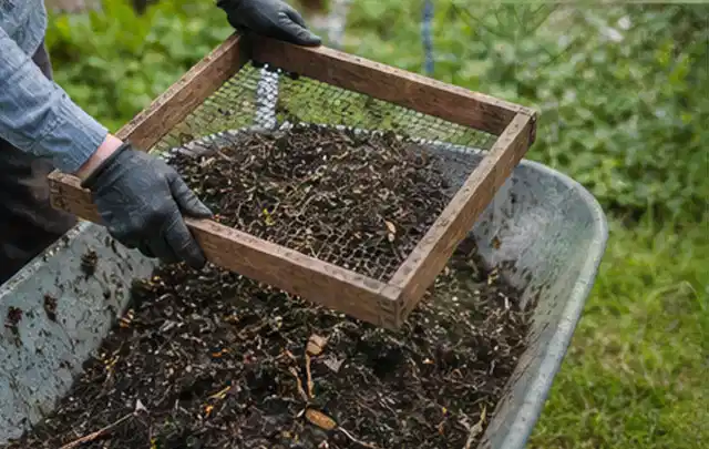 Behandschuhte Hände sieben reifen Kompost über einer Gartenschubkarre; Thema Glasgewächshaus, Schwerpunkt Checkliste; Ausgangslage.