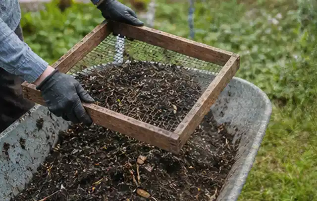Behandschuhte Hände sieben reifen Kompost über einer Gartenschubkarre; Thema Glasgewächshaus, Schwerpunkt Dimensionierung; Umsetzung.
