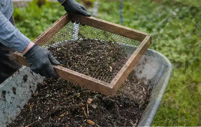 Behandschuhte Hände sieben reifen Kompost über einer Gartenschubkarre; Thema Glasgewächshaus, Schwerpunkt Fehlerhilfe; Umsetzung.