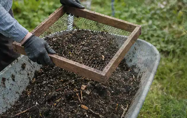 Behandschuhte Hände sieben reifen Kompost über einer Gartenschubkarre; Thema Glasgewächshaus, Schwerpunkt Fundament; Umsetzung.
