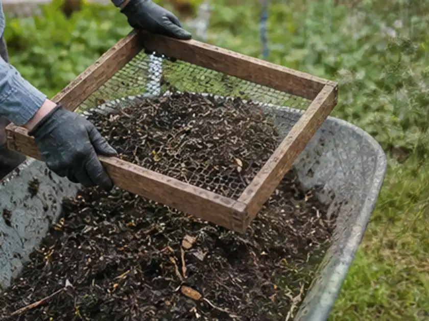 Behandschuhte Hände sieben reifen Kompost über einer Gartenschubkarre; Thema Glasgewächshaus, Schwerpunkt Gestaltung; Titelbild.