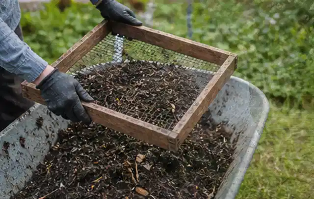 Behandschuhte Hände sieben reifen Kompost über einer Gartenschubkarre; Thema Glasgewächshaus, Schwerpunkt Materialwahl; Umsetzung.