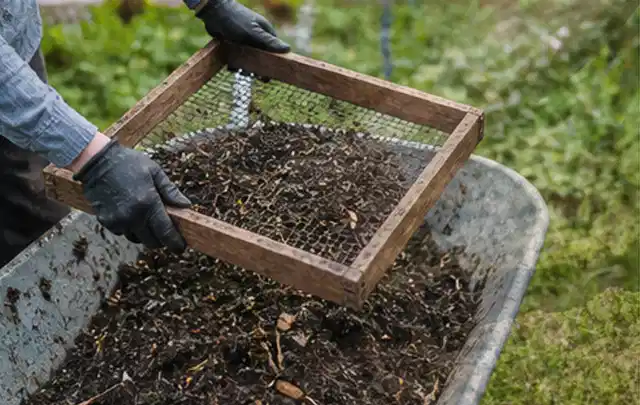Behandschuhte Hände sieben reifen Kompost über einer Gartenschubkarre; Thema Gurken, Schwerpunkt Anbau; Praxisalltag.